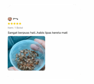 Banyak Gila Lipas